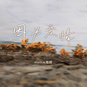 哪里有刘亦菲被操的一级黄片视频
